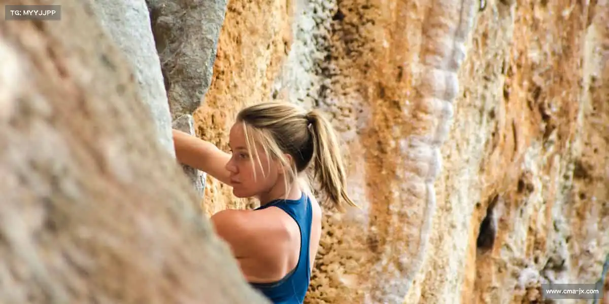 行业领先的理由